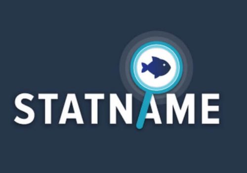 Обзор сервиса Statname для покера