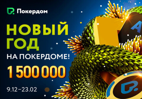 Расписание новогодних акций и турниров в Покердом