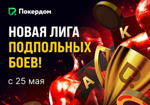 Турнирная лига «Подпольные бои» стартовала в Покердом