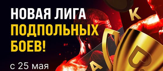 Турнирная лига «Подпольные бои» стартовала в Покердом